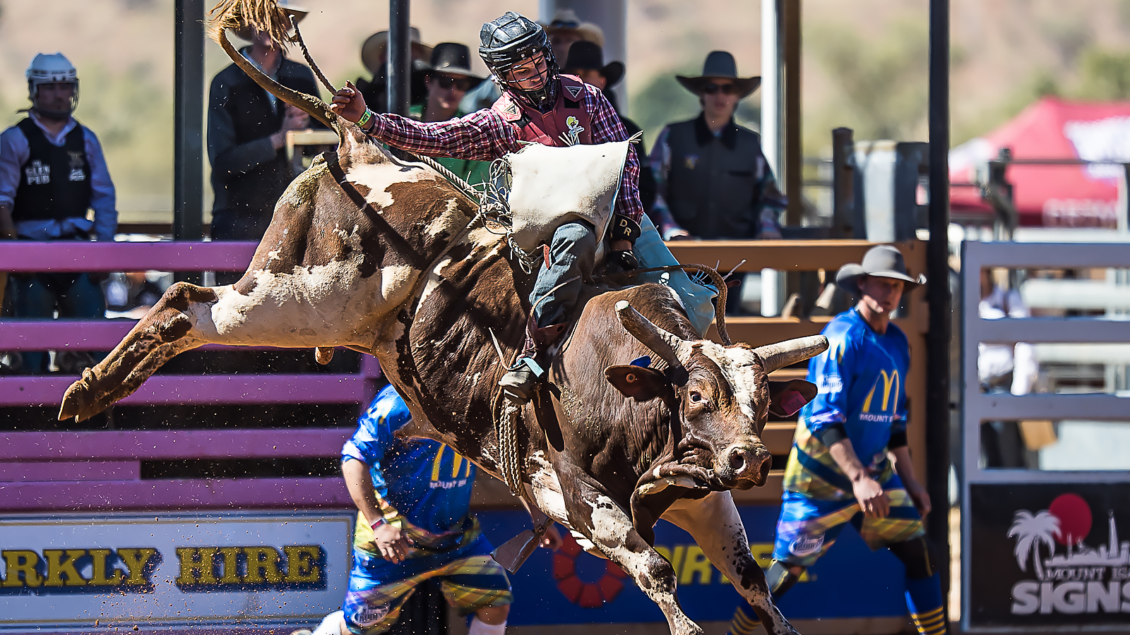 Time to saddle up for virtually the best event in Australia