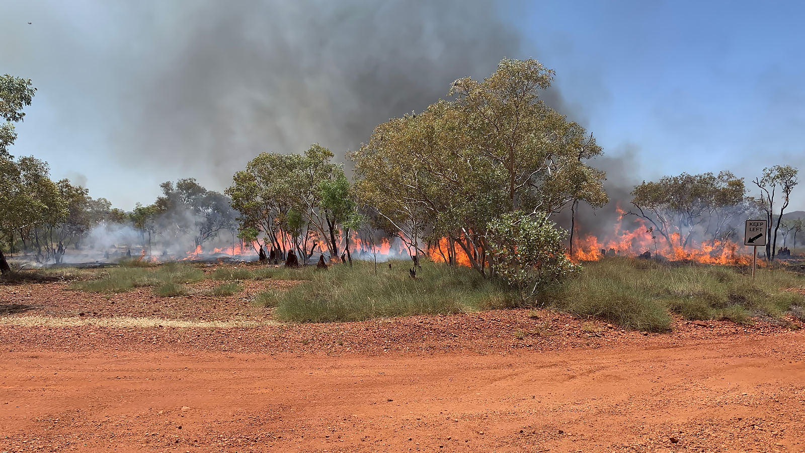 Fuel reduction burns to reduce the risk of bushfires